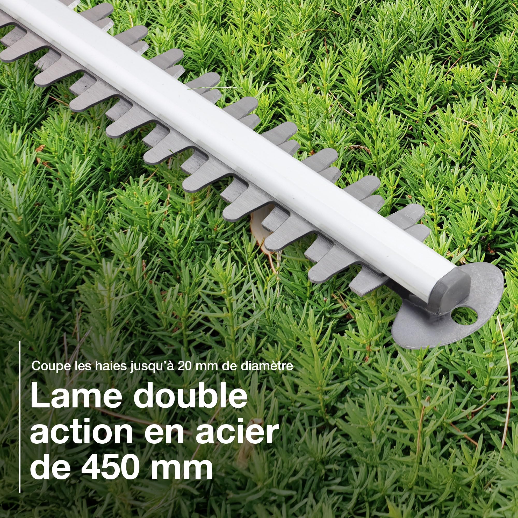 Hyundai HYPHT550E taille-haie perche filaire 550 W 3,5 m