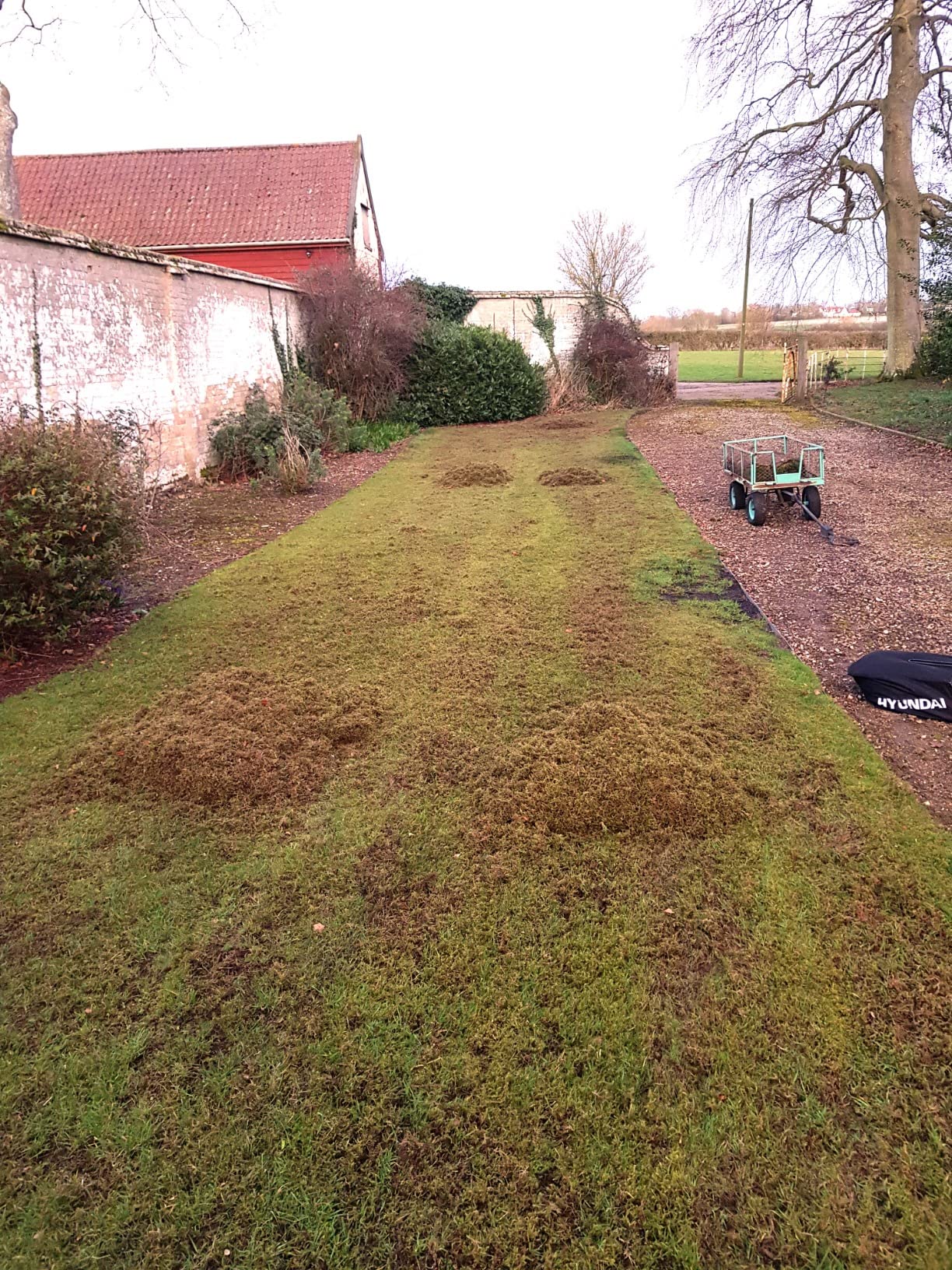Hyundai HYSC210 scarificateur essence 212 cc 400 mm